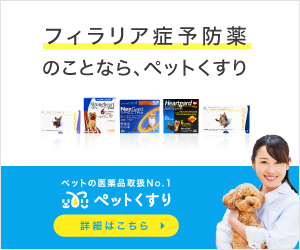 ドッグインク多摩川 室内ドッグラン ペットホテル 神奈川県川崎市高津区のドッグラン おでかけスポット ペットホームウェブ