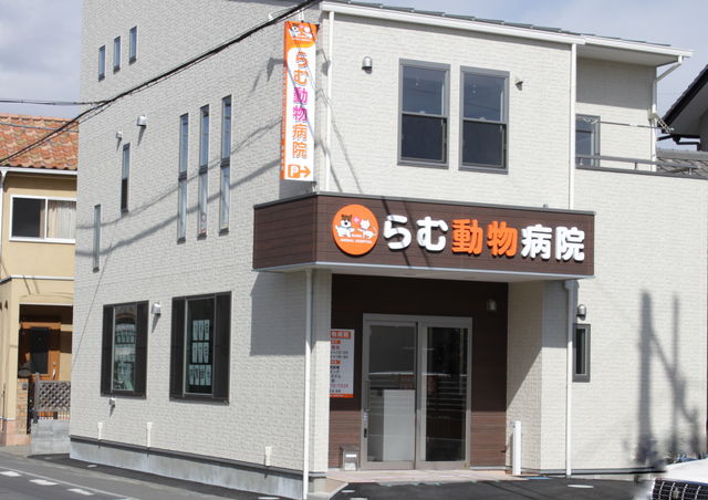 らむ動物病院 埼玉県蓮田市の動物病院 おでかけスポット ペットホームウェブ