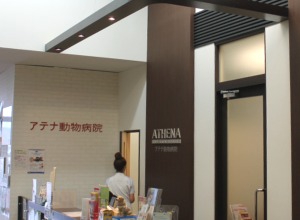 イオンペット 浦和美園店 埼玉県さいたま市緑区のペットショップ おでかけスポット ペットホームウェブ