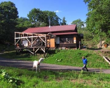 おでかけスポット 北見市 ペットカフェ 飲食店 全2件 おでかけスポット ペットホームウェブ