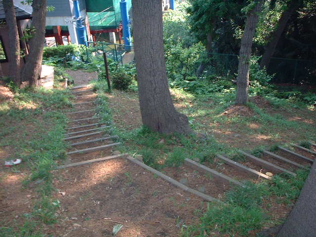 どきどきドッグpark生田 神奈川県川崎市多摩区のドッグラン おでかけスポット ペットホームウェブ