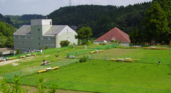 すいらんグリーンパークわんわん広場 千葉県茂原市のドッグラン おでかけスポット ペットホームウェブ