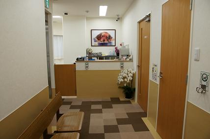 ハロー動物病院 千葉県鎌ケ谷市の動物病院 おでかけスポット ペットホームウェブ