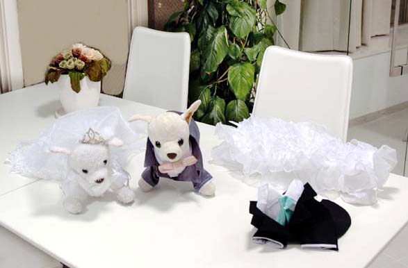 代官山nahomilly 東京都渋谷区のペットショップ おでかけスポット ペットホームウェブ